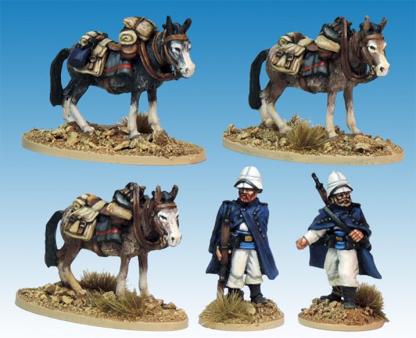 Legion Mounted Company Mule holders.