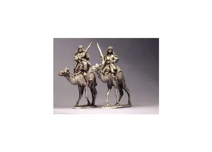 Camel Mounted Arab Irregulars