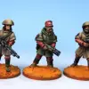 Photo of Garrison Troopers I (FSF007)